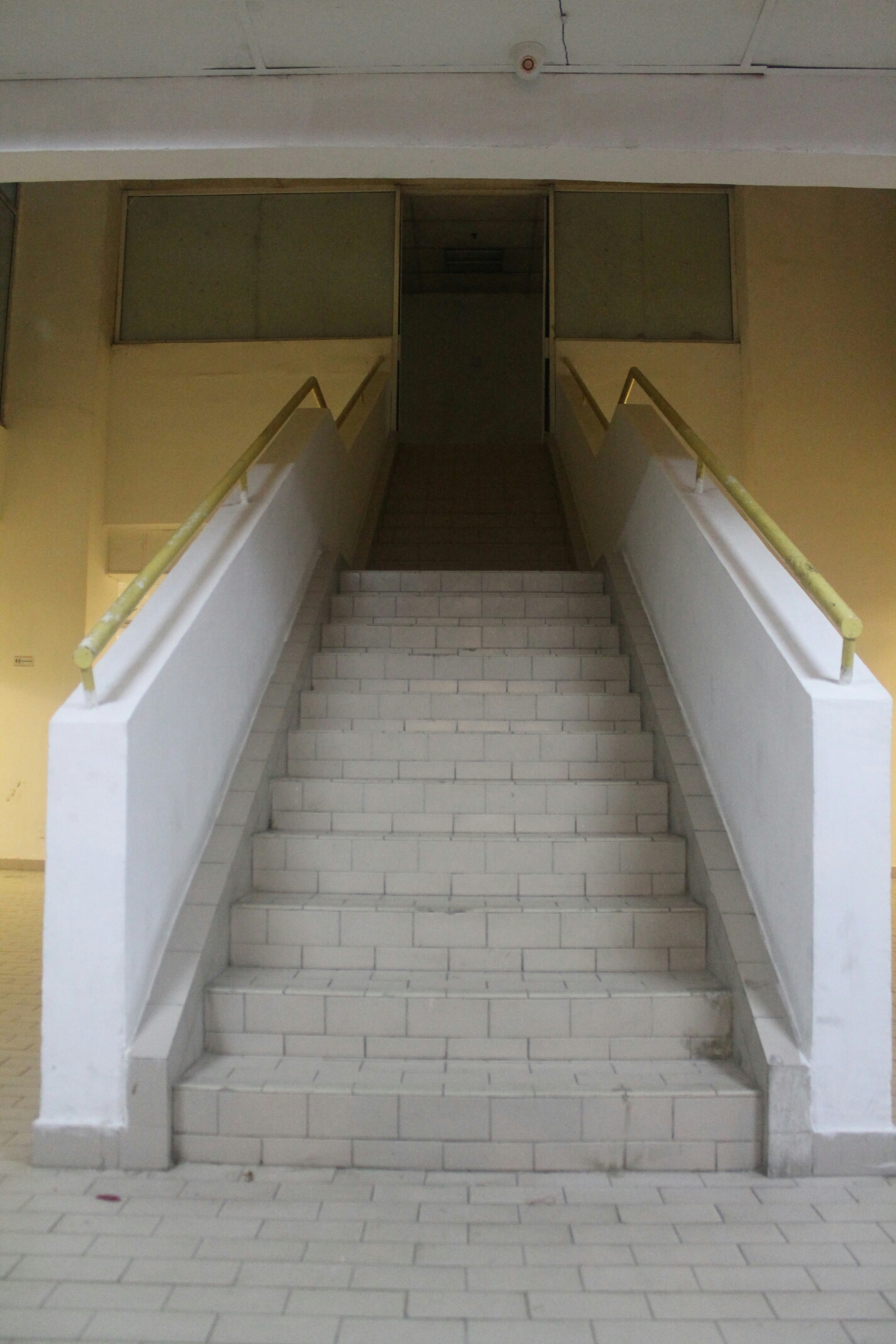 IMG_8852.JPG image