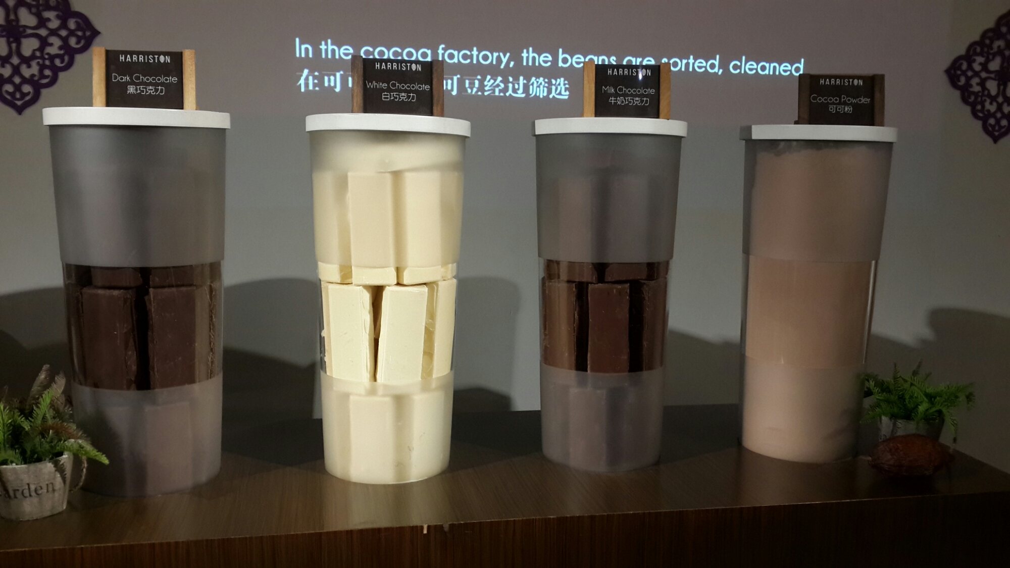 20180126_142445.jpg image