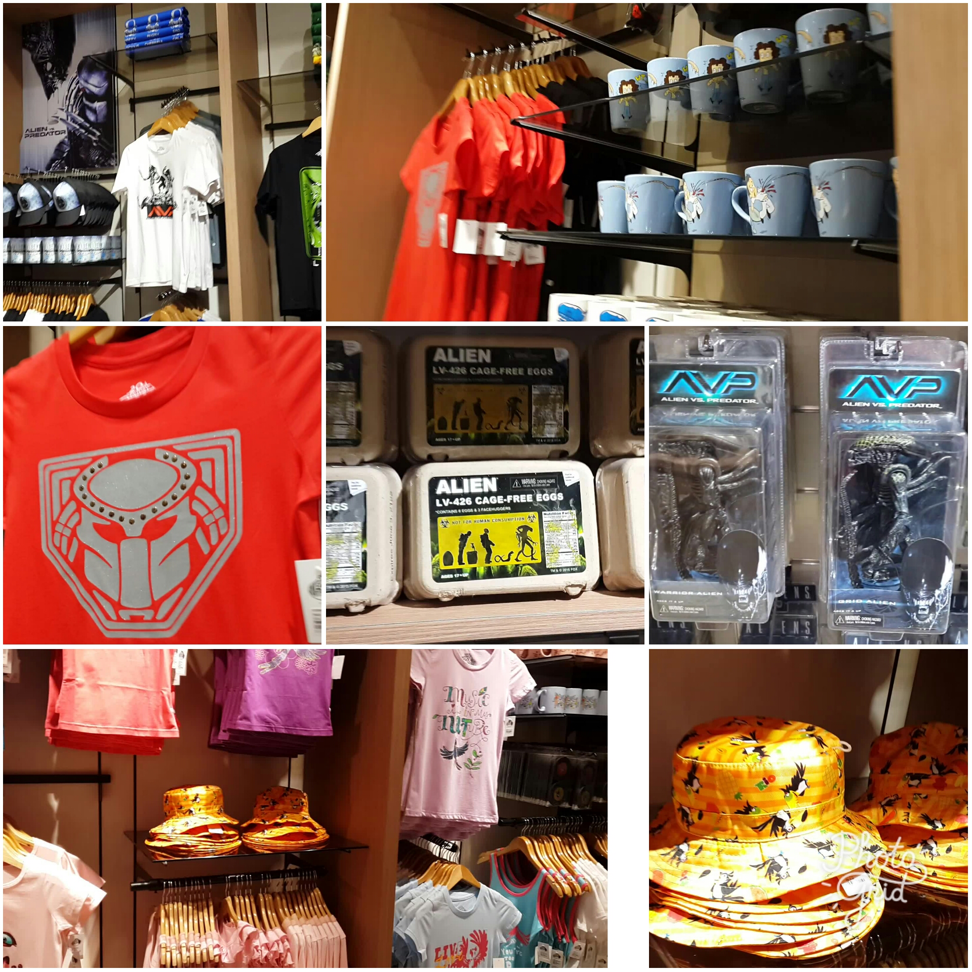 PhotoGrid_1524412507729.jpg image